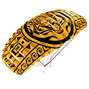 Depredador en el Cielo