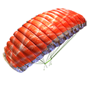 Paraquedas - Salmão