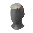 Silver Crew Cut Hairstyle
