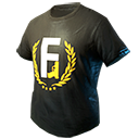 Aniversário de 6 meses