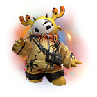 Paquete Kactus Verano de Ensueño