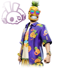 Conjunto Zé Abacaxi