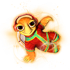 Conjunto Pet Cascudinho Festivo