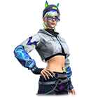 Conjunto Raposa Nórdica