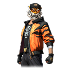 Tiger Brawler Bundle