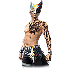 Ferocious Foxtail Bundle