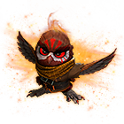 Hoot On Fire Pet Skin Bundle