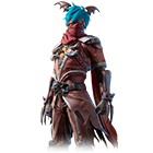 Assassin Cross Bundle