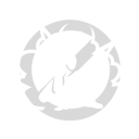 Padrão - Sem super emote