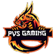 PVS Gaming Esports